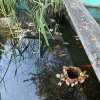 11 b Rund um Ellwangen